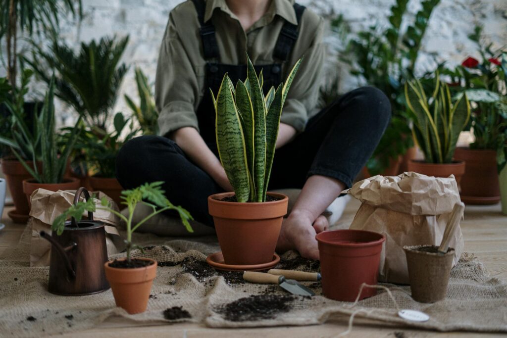 baltische tuin inrichten